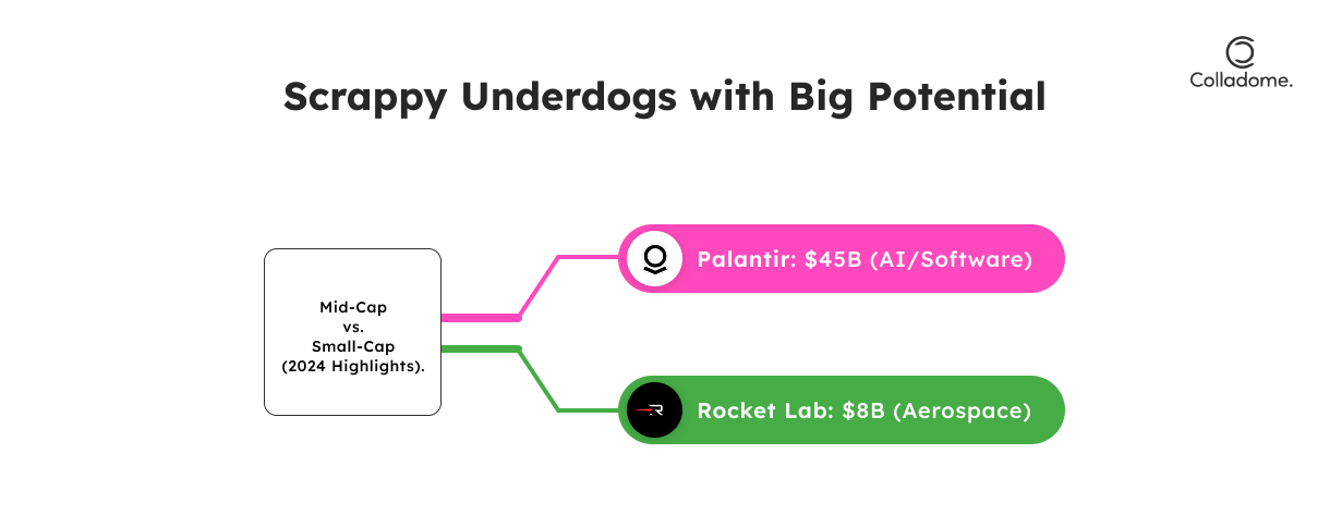 Scrappy underdogs with big potential
