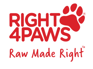 Right4Paws